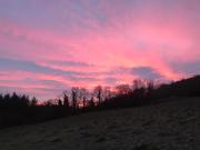 Forest View - Castlewellan, County Down