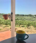 Top Belpasso Top Belpasso