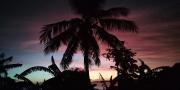 Top Guimaras Top Guimaras