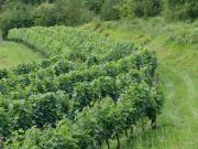 Top Arcos de Valdevez