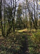 Top Hahnenklee-Bockswiese