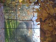 Top San Giovanni dʼAsso