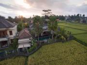 Top Ubud