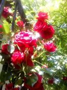 Top Villefranche-de-Rouergue