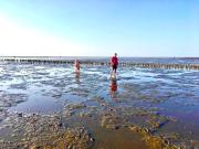 Deichoase Strandhaus