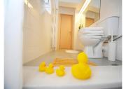 Live in Athens, PSYRRI Central Apartments