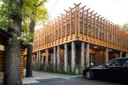 FOREST M,Constanta