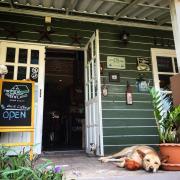 The Green land (Khok Kruat)