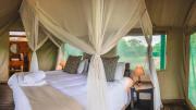 Top Timbavati Game Reserve