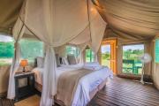 Top Timbavati Game Reserve