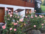 Top Grindelwald Top Grindelwald