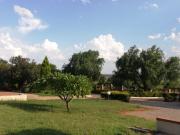 Top Jane Furse
