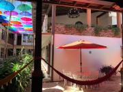 Top Uruapan Top Uruapan