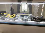 Top Bakov nad Jizerou