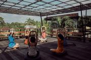Top Ubud