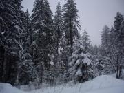 Apartments Borovets