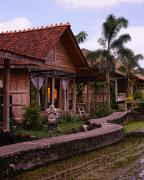 Top Ubud