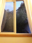 Top Valdivia Top Valdivia