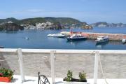 Top Ponza