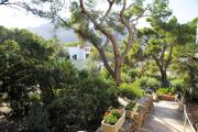 Top Cala de Sant Vicenc