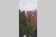 Top San Fernando