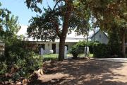 Top Prince Alfred Hamlet