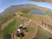 Top Prince Alfred Hamlet