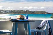 Top Mollymook
