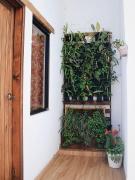 Top San Cristóbal de Las Casas