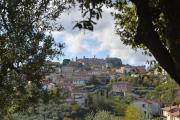 Top Montepulciano