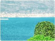 Top Trogir