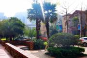 Top Guiyang