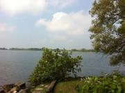 Top Campbellford