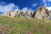 Top Livinallongo del Col di Lana