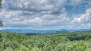 Top Blue Ridge