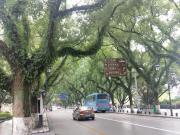 Top Guilin