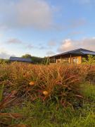 Top Hanga Roa Top Hanga Roa