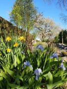 Top Châtillon-sur-Indre