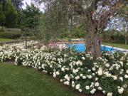 Top Civitanova Marche