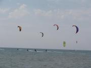 Top Marina di Castagneto Carducci Top Marina di Castagneto Carducci