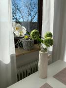 Top Bad Soden-Salmünster