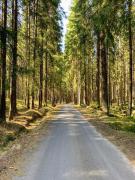 Top Lázně Kynžvart