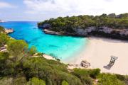 Top Alcudia