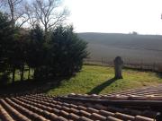 Top Pieve di Santa Luce