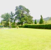 Top El Pito Top El Pito