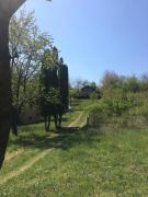 Top Vrdnik