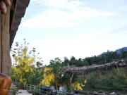 Top Thoeng