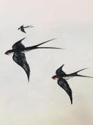 Agriturismo La Perlara - Adults Only