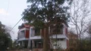 Top Mahad