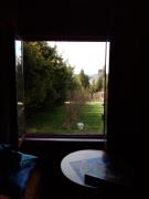 Top Laliki Top Laliki